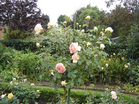 abraham_darby