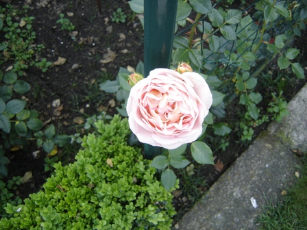 abraham_darby