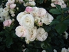 Bouquet_parfait